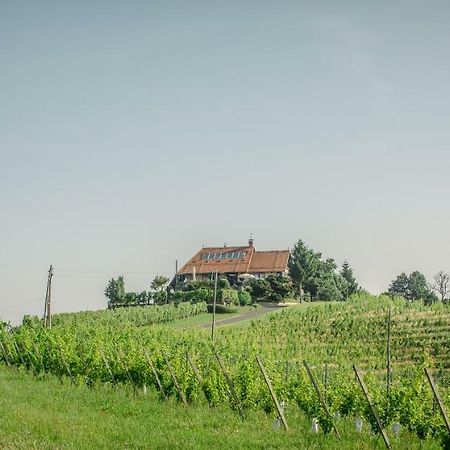 Taverna & Wine Jeruzalem Ivanjkovci Екстериор снимка