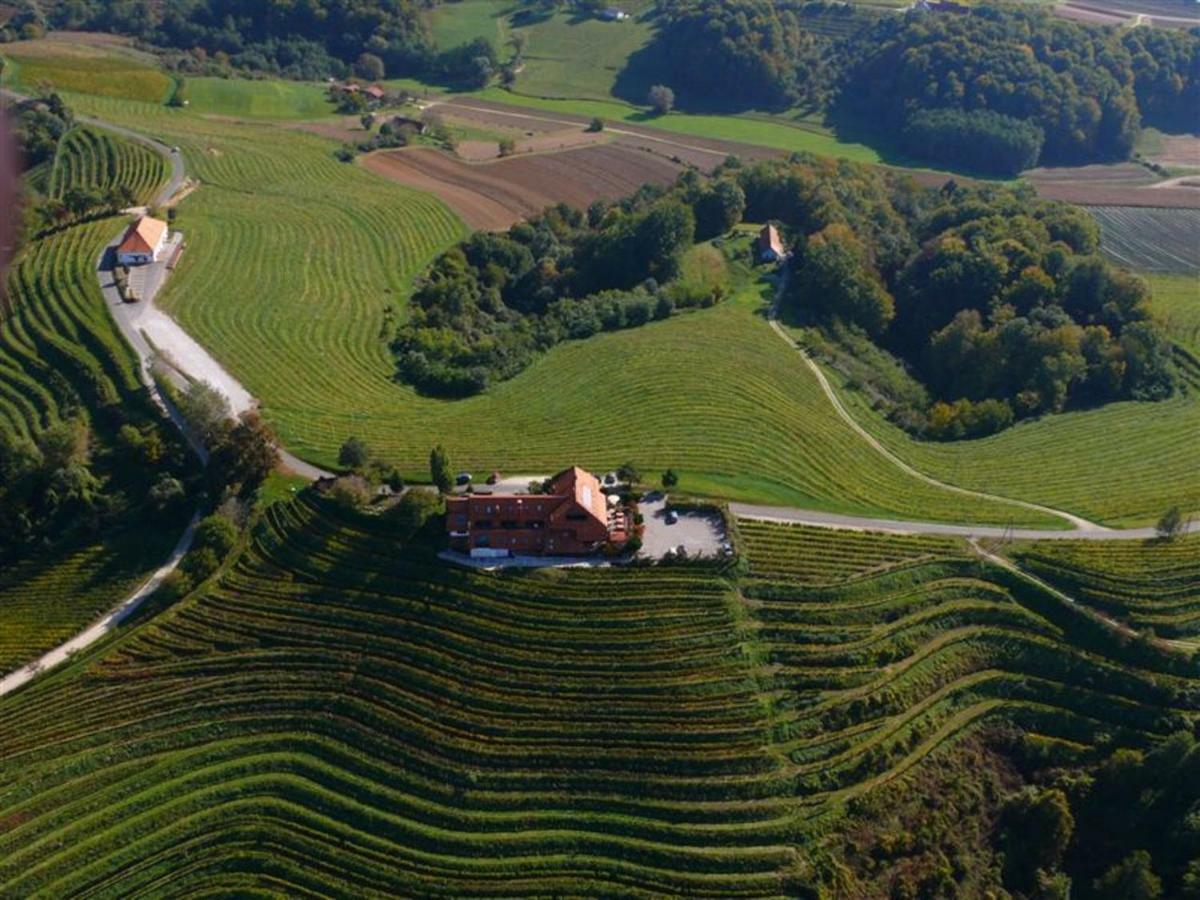 Taverna & Wine Jeruzalem Ivanjkovci Екстериор снимка