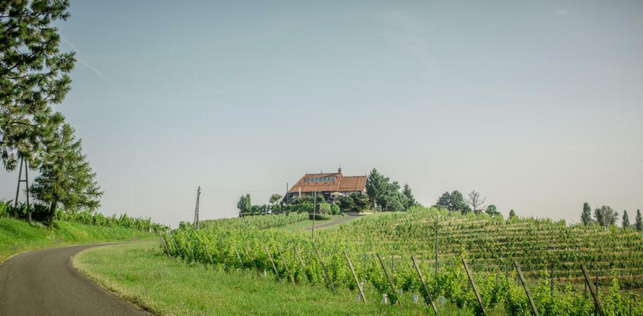 Taverna & Wine Jeruzalem Ivanjkovci Екстериор снимка